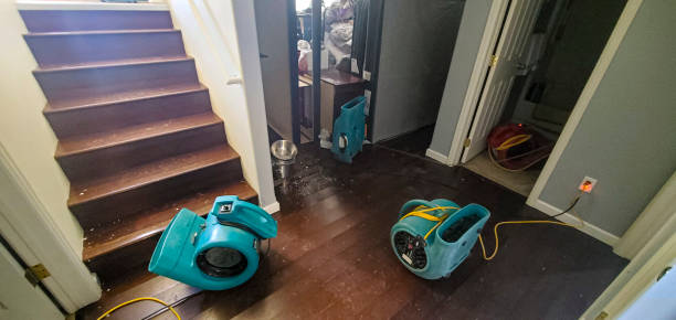 Best Professional water damage repair  in Lookout Mountain, AL