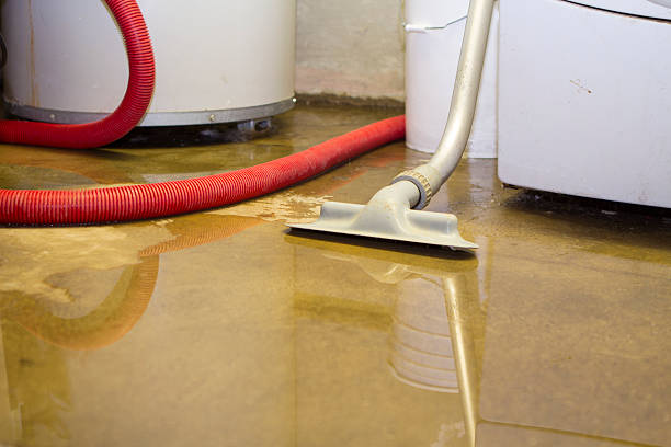 Best Water damage restoration near me  in Lookout Mountain, AL