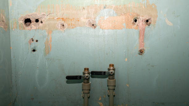 Best Professional water damage repair  in Lookout Mountain, AL